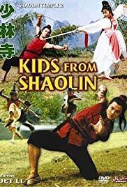 The Shaolin temple เสี้ยวลิ้มยี่ 2 (1984)