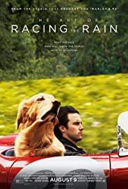 The Art of Racing in the Rain อุ่นไอหัวใจตูบ (2019)