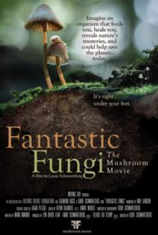 Fantastic Fungi เห็ดมหัศจรรย์ (2019)
