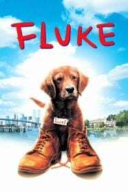 Fluke เกิดใหม่กลายเป็นหมา (1995)