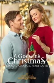 A Godwink Christmas: Second Chance, First Love ปาฏิหาริย์คริสต์มาส รักครั้งใหม่หัวใจเดิม (2020) HDTV
