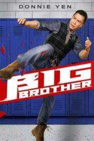 Big Brother (Dai si hing) (2018)